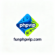 funphpvip.com favicon